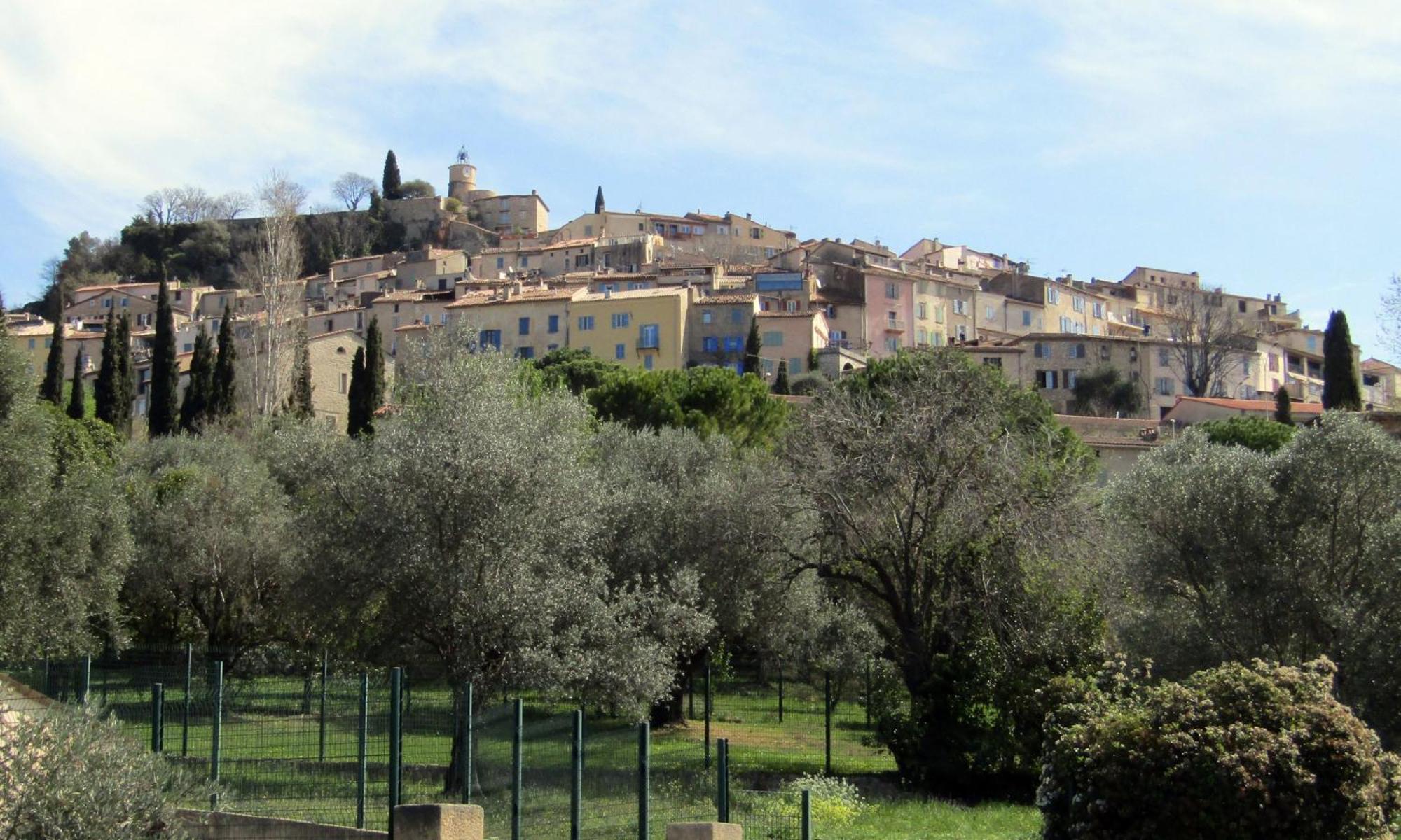 Hauts De Saint Pierre Maison De Ville 3 Chambres, Belle Terrasse Fayence Exteriér fotografie